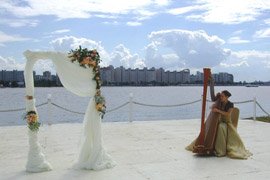 Арфа на свадьбу в Санкт-Петербурге фото 4